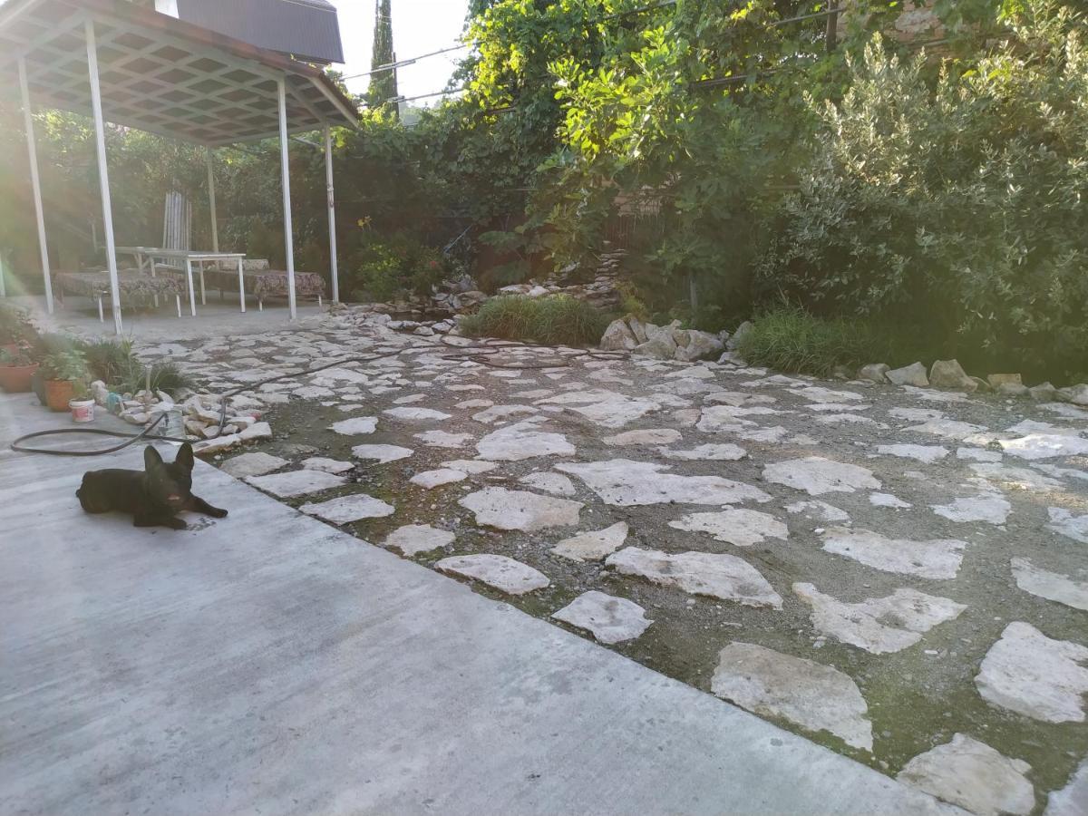 Guest House On Shakirbay 11 Sukhumi Exterior foto
